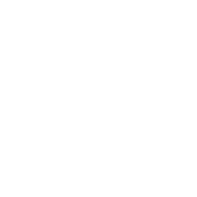 Chieftain vinyl link